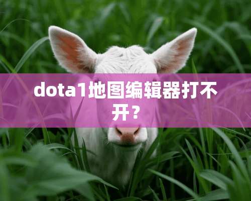 dota1地图编辑器打不开？