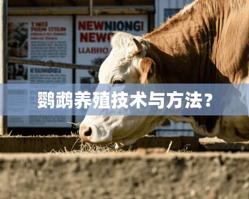 鹦鹉养殖技术与方法？