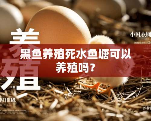 黑鱼养殖死水鱼塘可以养殖吗？