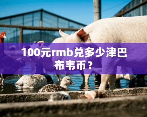 100元rmb兑多少津巴布韦币？