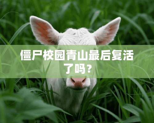 僵尸校园青山最后**了吗？