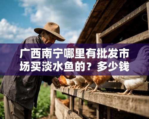 广西南宁哪里有批发市场买淡水鱼的？多少钱一个摊位？