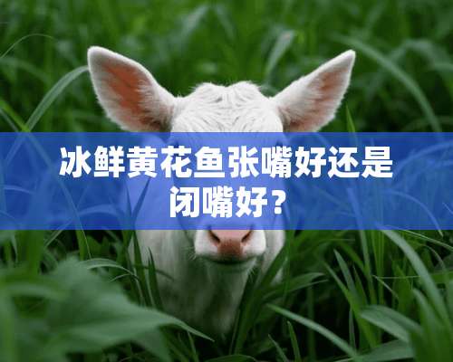 冰鲜黄花鱼张嘴好还是闭嘴好？