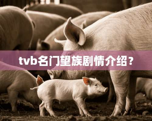 tvb名门望族剧情介绍？