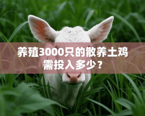 养殖3000只的散养土鸡需投入多少？