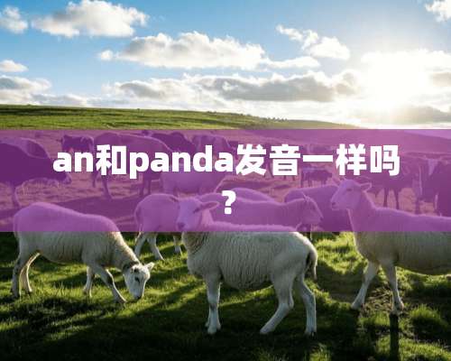 an和panda发音一样吗？