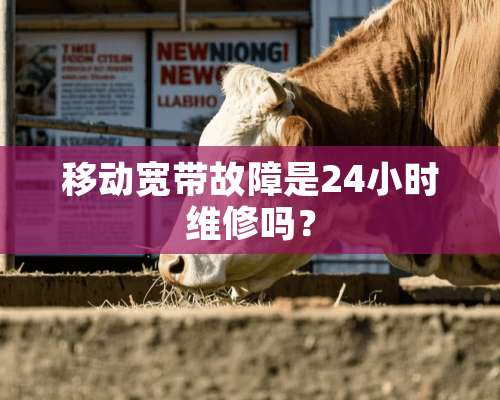 移动宽带故障是24小时维修吗？