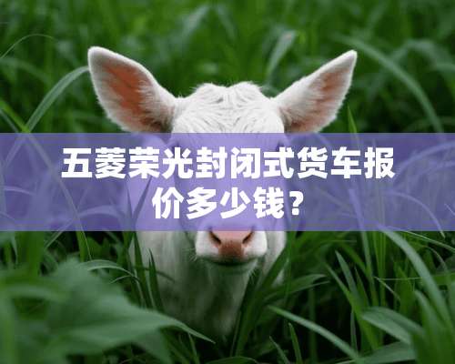 五菱荣光封闭式货车报价多少钱？