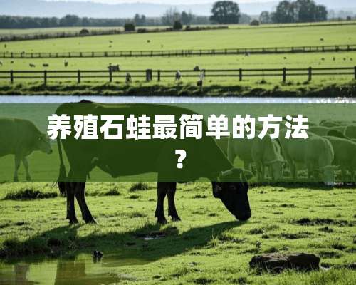 养殖石蛙最简单的方法？