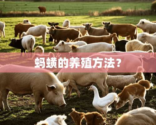 蚂蟥的养殖方法？