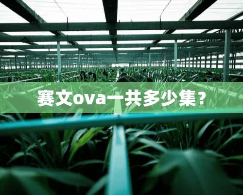 赛文ova一共多少集？