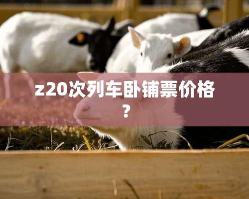 z20次列车卧铺票价格？