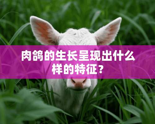 肉鸽的生长呈现出什么样的特征？