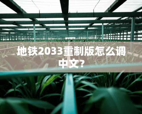 地铁2033重制版怎么调中文？