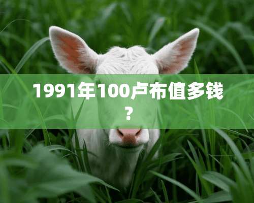 1991年100卢布值多钱？