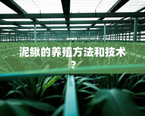 泥鳅的养殖方法和技术？