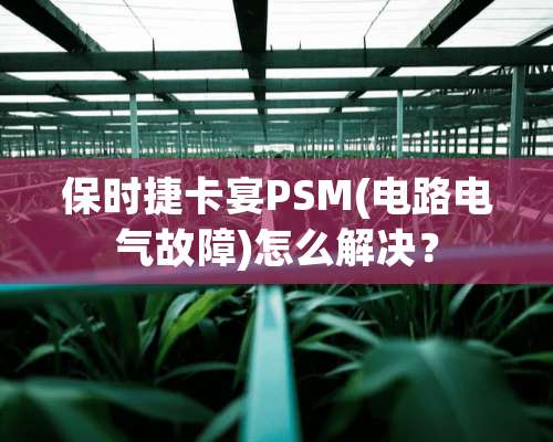 保时捷卡宴PSM(电路电气故障)怎么解决？