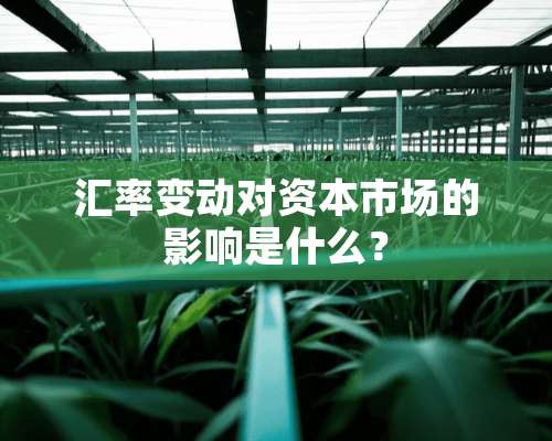 汇率变动对资本市场的影响是什么？