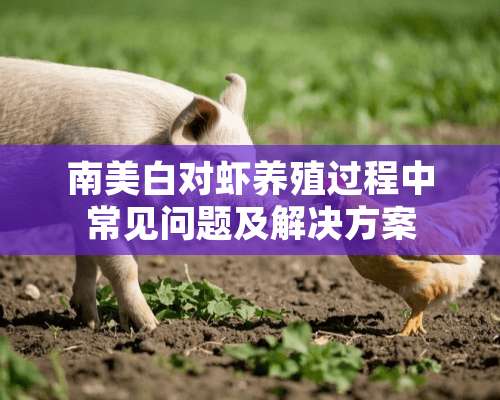 南美白对虾养殖过程中常见问题及解决方案