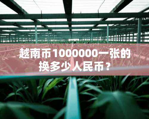 越南币1000000一张的换多少人民币？