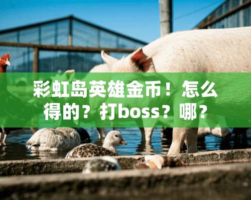 彩虹岛英雄金币！怎么得的？打boss？哪？