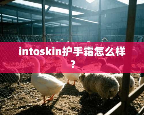 intoskin护手霜怎么样？