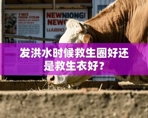 发洪水时候救生圈好还是救生衣好？