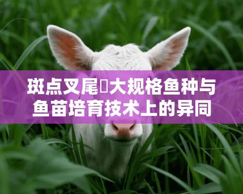 斑点叉尾鮰大规格鱼种与鱼苗培育技术上的异同