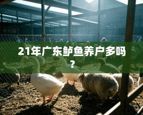 21年广东鲈鱼养户多吗？