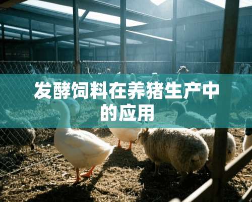 发酵饲料在养猪生产中的应用