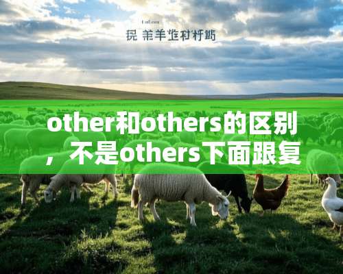 other和others的区别，不是others下面跟复数么？