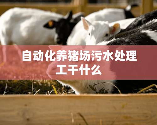 自动化养猪场污水处理工干什么