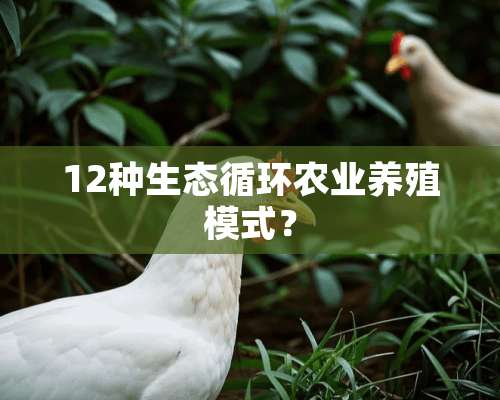 12种生态循环农业养殖模式？