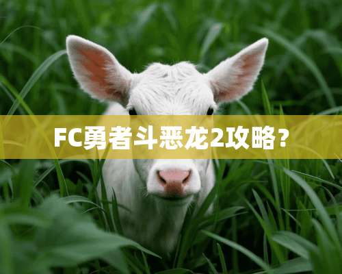 FC勇者斗恶龙2攻略？