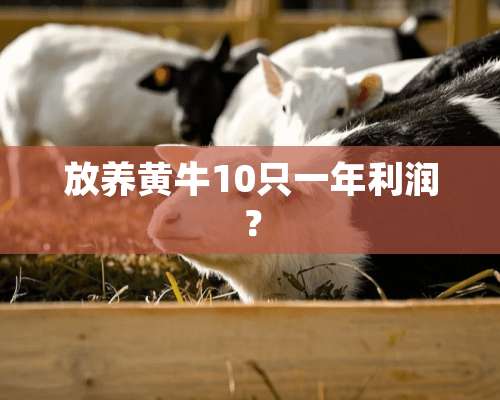 放养黄牛10只一年利润？