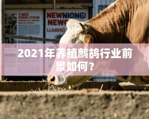 2021年养殖鹧鸪行业前景如何？