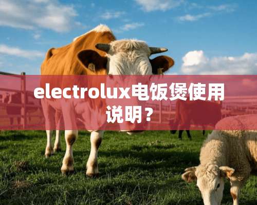 electrolux电饭煲使用说明？