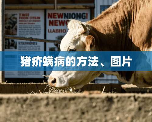 猪疥螨病的方法、图片