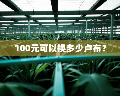 100元可以换多少卢布？