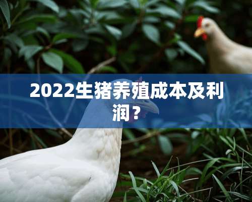 2022生猪养殖成本及利润？