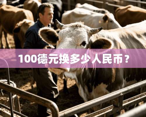 100德元换多少人民币？