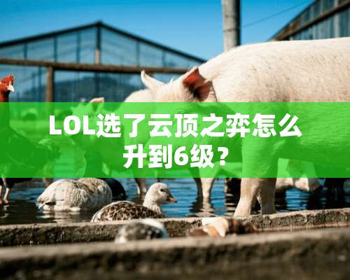 LOL选了云顶之弈怎么升到6级？