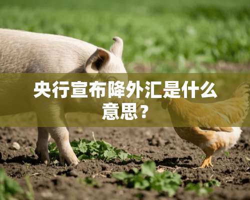 央行宣布降外汇是什么意思？