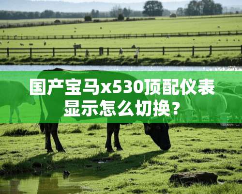 国产宝马x530顶配仪表显示怎么切换？