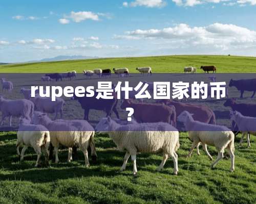 rupees是什么国家的币？