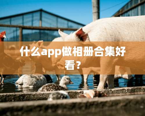 什么app做相册合集好看？