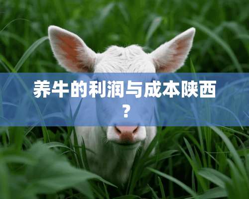 养牛的利润与成本陕西？