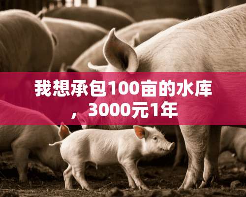 我想承包100亩的水库，3000元1年