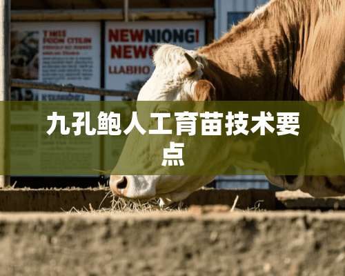 九孔鲍人工育苗技术要点