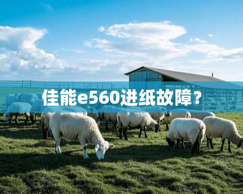 佳能e560进纸故障？